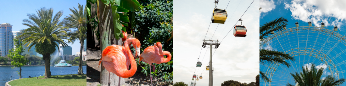 10 Free Things To Do In Orlando